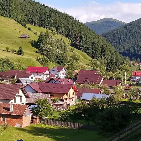 Casa Cu Flori Moeciu De Sus