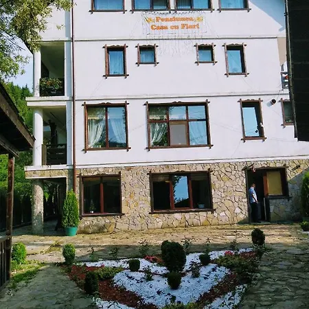 Casa Cu Flori Gæstehus Moeciu De Sus